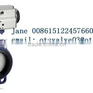 High Performance Gate Valve /Check Valve /Lug Type Butterfly Valve thumbnail-5