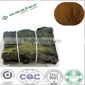 Best Factory Supplier 100% Pure Kelp Extract Kelp Extract 4:1 Fucoidan 40%-95% HPLC/Kelp thumbnail-1