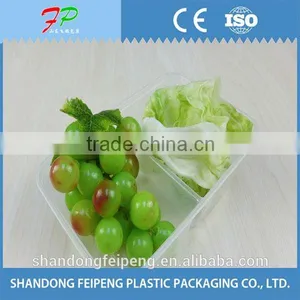 Takeaway Food Container Disposable Use thumbnail-4