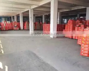 Jiangxi Bailin Industry And Commerce Co., Ltd. company overview - view 3 thumbnail