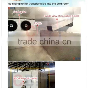 Iran 20 Tons Client Cases Tube Ice Maker Machine Ice Plant Operate thumbnail-6