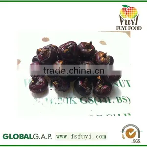 Wholesale Good Fresh Water Chestnut on Sale thumbnail-1