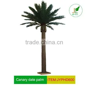 Artificial High Grade Canary Date Palm Tree thumbnail-1