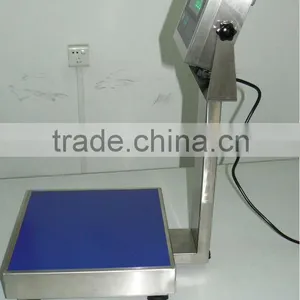 Stainless Steel Scale thumbnail-2