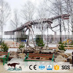 OA-DS-62S5 Exhibition Museum Fiberglass Enormous Dinosaur Fossils thumbnail-6