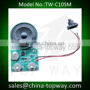 Programmable Sound Chip Recordable Modules With Motion Sensor thumbnail-1
