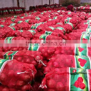 Fresh Onion on Sale in This Hot Season Before New Year With High Quality and Reasonable Price thumbnail-5