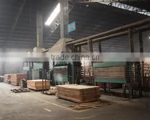 Linyi Jinxing Plywood Factory company overview - view 3 thumbnail