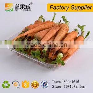 Disposable Plastic Clear Fruit Food Tray thumbnail-2