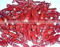 Hot Chillies thumbnail-1