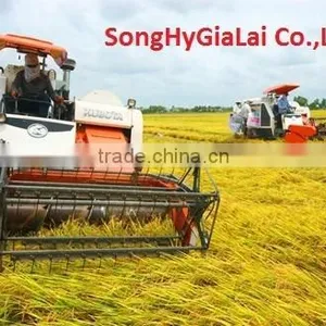 VIETNAM WHITE RICE LONG GRAIN 100% BROKEN thumbnail-3