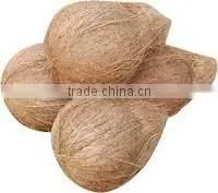 Dry Semi Husked Coconut thumbnail-4
