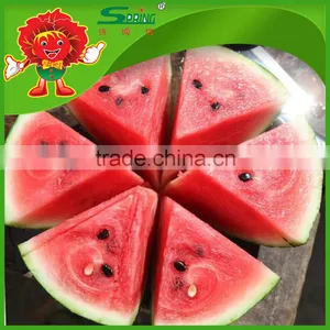 no Frozen Watermelon Cheap Chinese Fresh Watermelon Fake Watermelon thumbnail-3