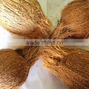 Fresh Coconuts - Export Quality Coconut thumbnail-3