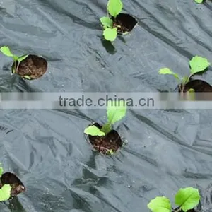Agricultural PE Protective Plastic Mulch Film thumbnail-3