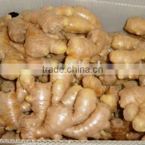 Fresh Ginger thumbnail-1