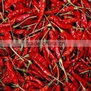 High Quantity Chilli Importer From China thumbnail-1