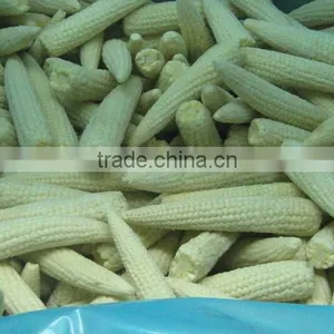 IQF Baby Corn thumbnail-1