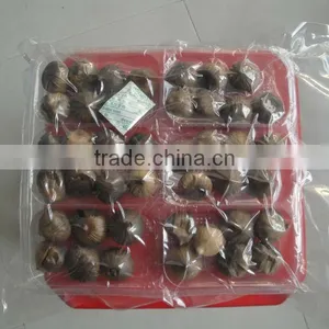 Health Japanese Ferment Black Garlic thumbnail-4