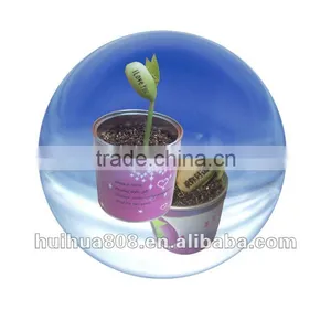 Mini Plant&bean thumbnail-1