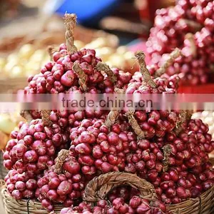 Fresh Red Onion thumbnail-2