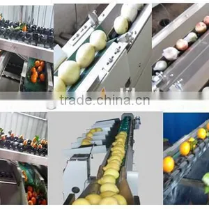 Best Seller Automatic Fruit Sorting Machine for Apple, Orange ,pear,peach,persimmon,kiwifruit thumbnail-1