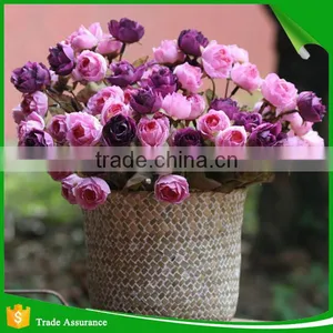 Wholesale Colorful Artificial Silk Flowers for Decoration thumbnail-4