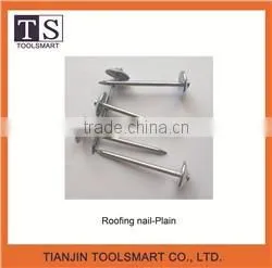 Corrugated Roofing Nail thumbnail-2