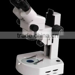 Microscope thumbnail-1