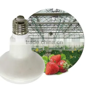 China Supplier LED Grow Light 12W Plant Grow Lights R90 Growing Bulbs thumbnail-1
