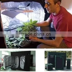 Indoor Greenhouse Black Grow Tent thumbnail-3