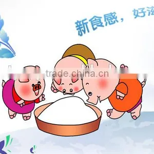 Choline Chloride 60% for Poultry Feed thumbnail-5