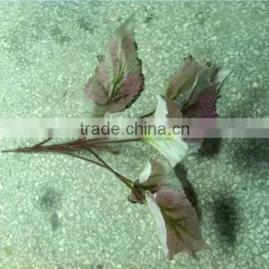 Home and Outdoor Garden Edging Christmas Decoration 60cm or 24inches Height Artificial Small Grass for Green Wall E04 1014 thumbnail-4