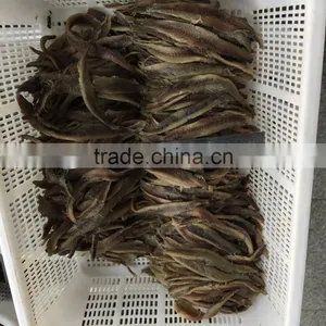 Hot Sales Frozen Salted Anchovy Fillets thumbnail-1