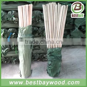 Dry Natural Indian Broom Stick Factory in China thumbnail-3