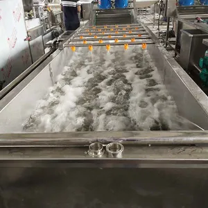 Carrot Washer Multifunctional Vegetable Washer thumbnail-1