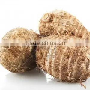 High Quality Fresh Taro Root From Vietnam thumbnail-2
