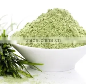 Superior Quality Wheat Grass Powder For Sales thumbnail-4
