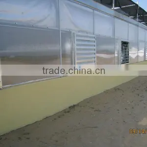 Agriculture Greenhouse thumbnail-3