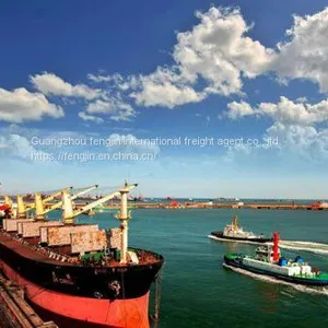 Import and Export thumbnail-1