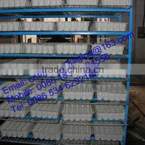 Eco-friendly Molded Inner Paper Pulp Tray for Eggs thumbnail-1