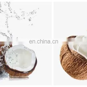 Small Scale Coconut Juice Processing Line thumbnail-3