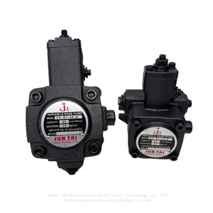 Hydraulic Oil Pumps VP30 Vane Pumps VP-SF-20-D VP-SF-12/15-D VP-SF-30/40-D thumbnail-1