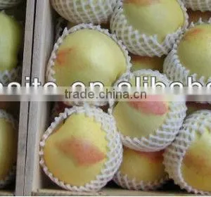Different Sizes Plastic Fruit Netting thumbnail-1