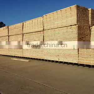 White Pine Wood thumbnail-1