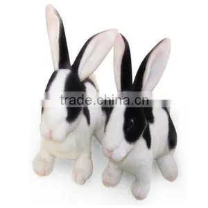 Toy Bunny Plush Toy Stuffed Animal thumbnail-1