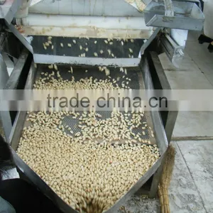 Ju'nan Country Best Quality Blanched Peanut 25/29 Size 25kg/ctn for Sale thumbnail-3