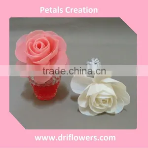Sola Flower Diffuser thumbnail-1