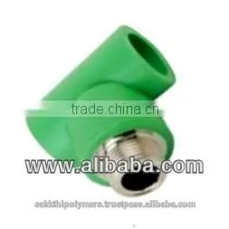 Male Thread Coupler - PPR Pipes and Fittings - Green thumbnail-5