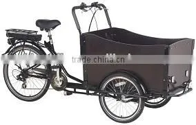 2015 Hot Sale 3 Wheels Electric Cargo Bike / Trike / Tricycle / Bicycle for Family thumbnail-1